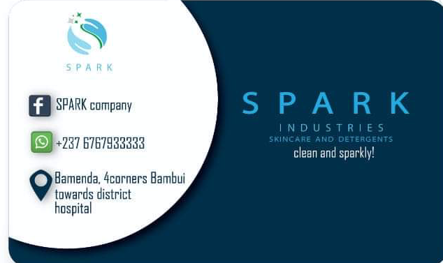 SPARK COMPANY