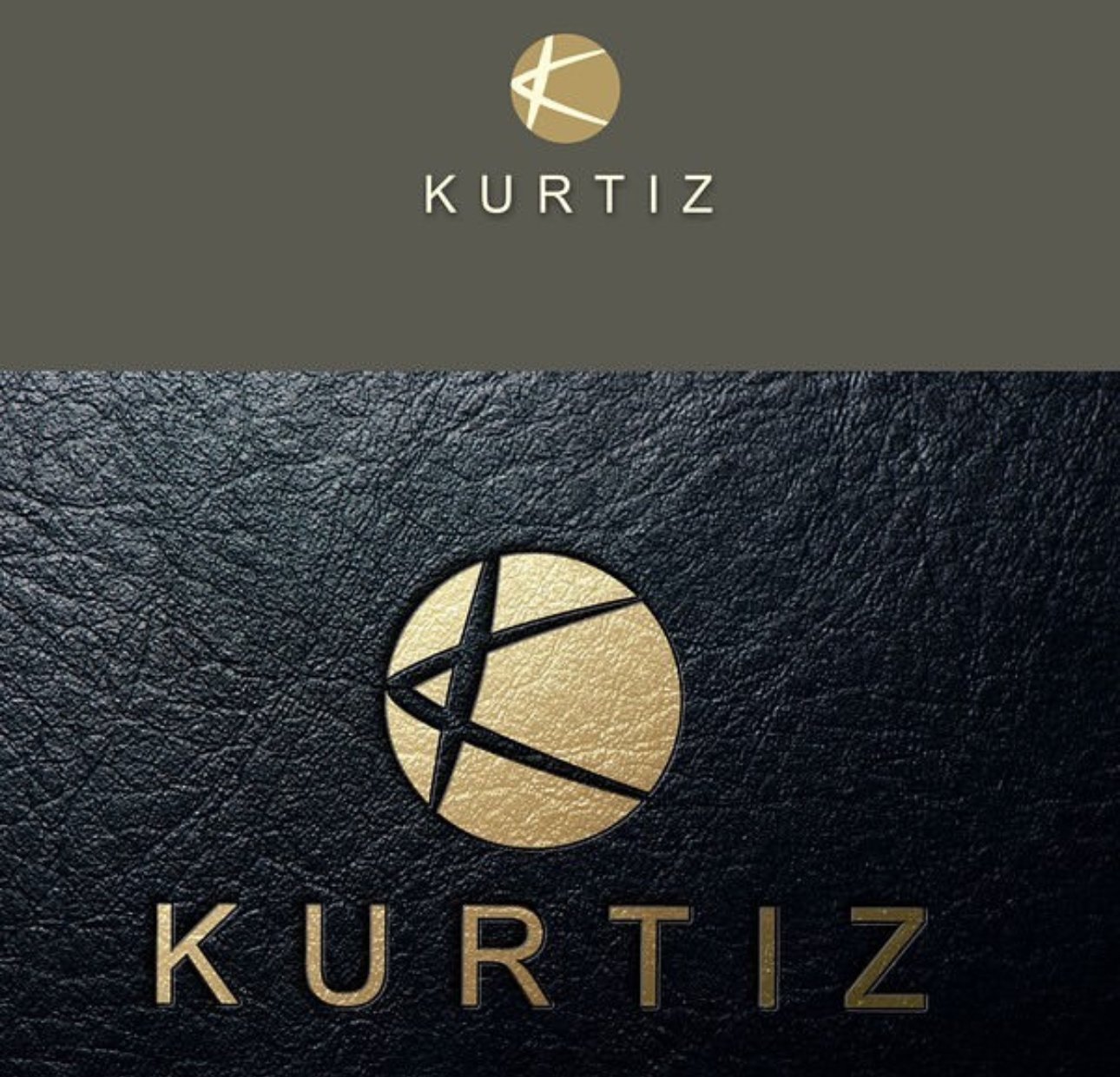 Kurtiz electronics